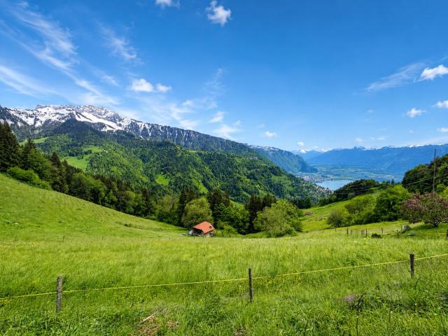Haus kaufen in Chailly-Montreux, Waadt