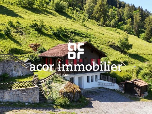 Haus kaufen in Grône, Wallis