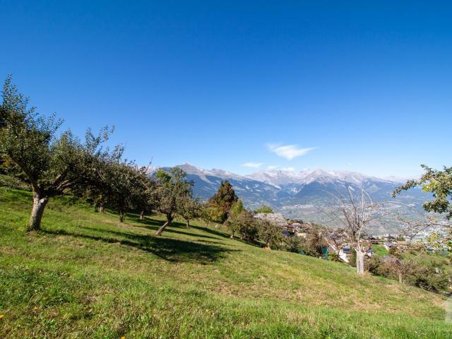 Haus kaufen in Baar, Nendaz, Wallis