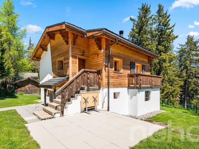 Haus kaufen in Vex, Wallis