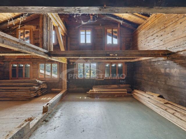 Haus kaufen in Ormont-Dessous, Waadt