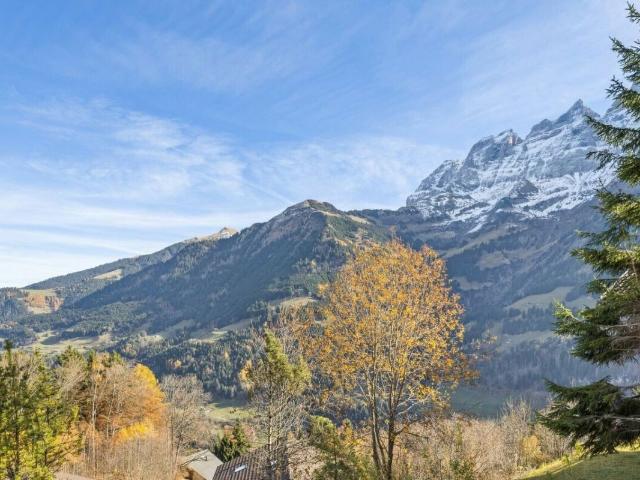 Haus kaufen in Champéry, Wallis