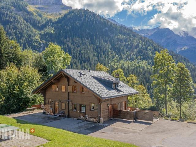 Haus kaufen in Ormont-Dessus, Waadt