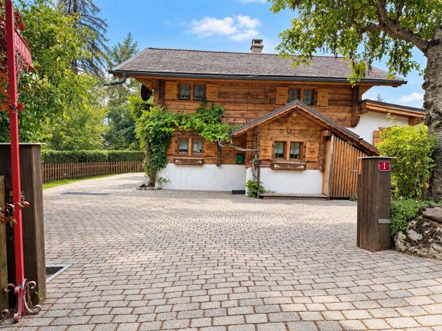 Haus kaufen in Gryon, District d'Aigle