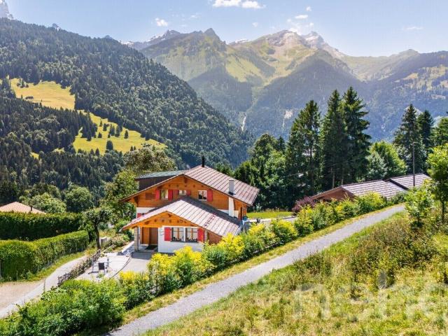 Haus kaufen in Gryon, Waadt