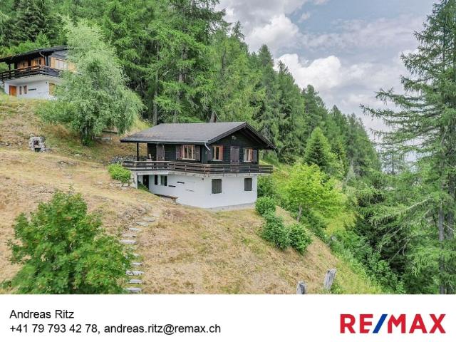 Immobilie kaufen in Bellwald, Wallis