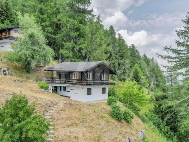Einfamilienhaus kaufen in Bellwald, Wallis