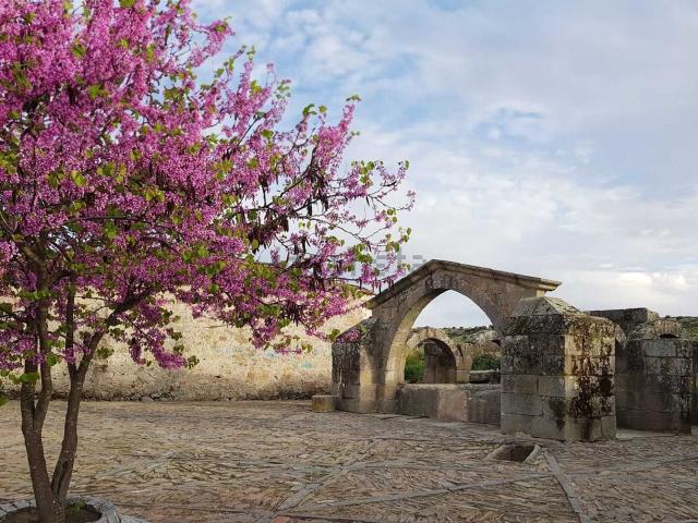 Casa en venta en Zarza La Mayor, Extremadura