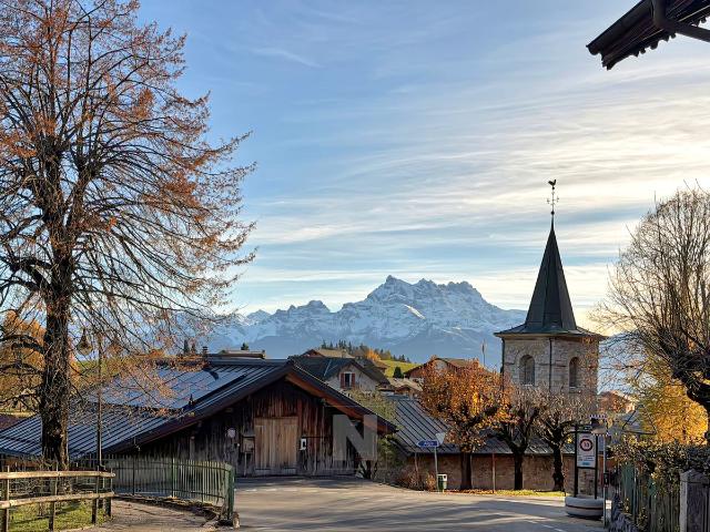 Haus kaufen in Leysin, Waadt