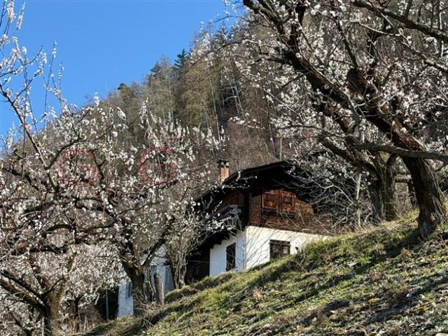 Haus kaufen in Saxon, Wallis