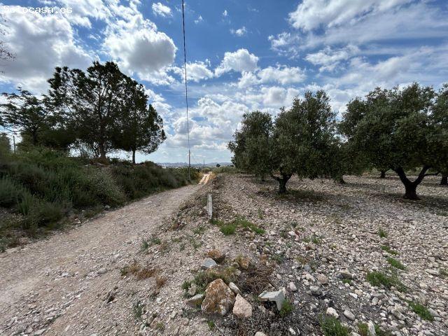 Casa en venta en el Vinalopó Mitjà / El Vinalopó Medio, Valencia
