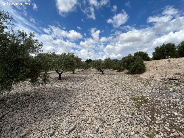 Casa en venta en el Vinalopó Mitjà / El Vinalopó Medio, Valencia