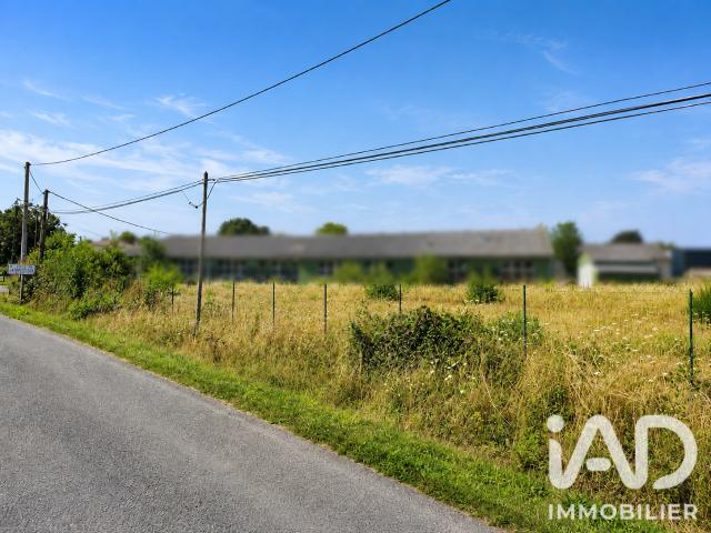 Terrain vente à Angers, Chalonnes-sur-loire
