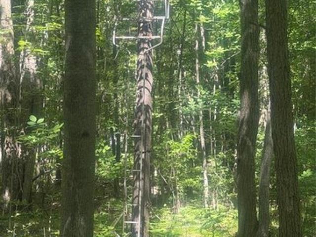 Land for sale in Tuscola, Michigan