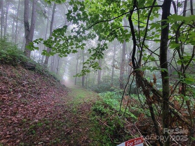 Land for sale in Clyde Land for sale in Clyde