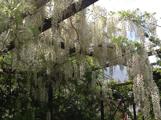 Chambre location à France métropolitaine, Montigny-lès-metz