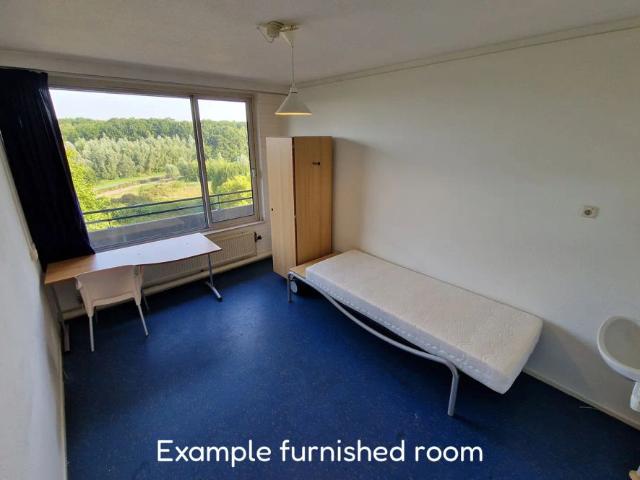Kamer te huur in Wageningen, Gelderland