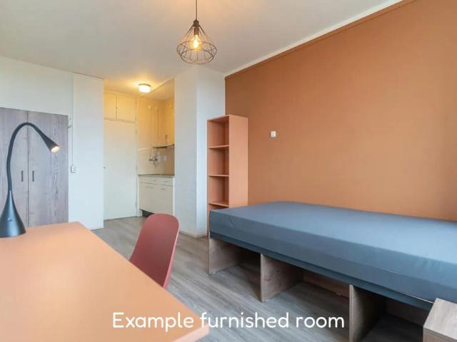 Kamer te huur in Wageningen, Gelderland
