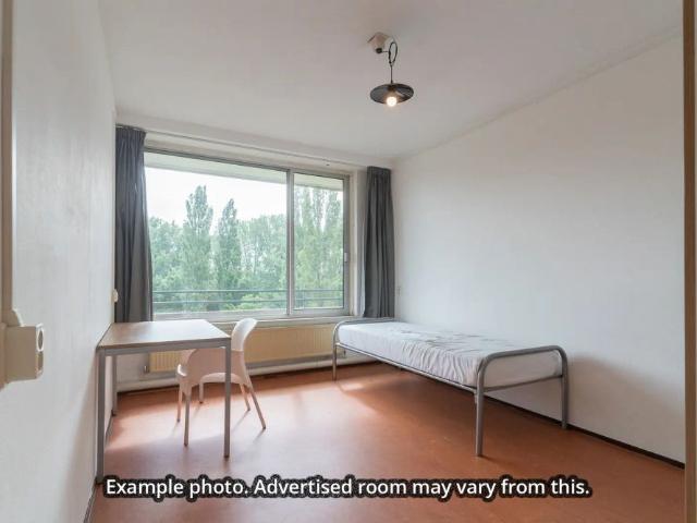Kamer te huur in Wageningen, Gelderland