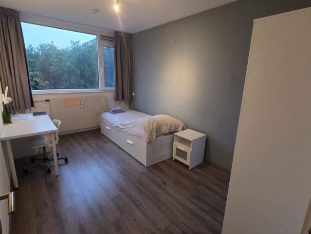 Kamer te huur in Voorhof, Delft