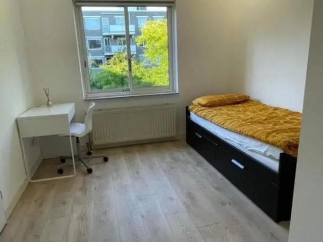 Kamer te huur in Paddepoel-Zuid, Groningen