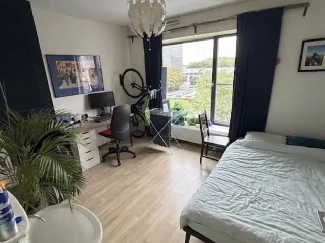 Kamer te huur in Wippolder, Delft