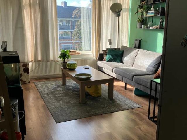 Kamer te huur in Amersfoort