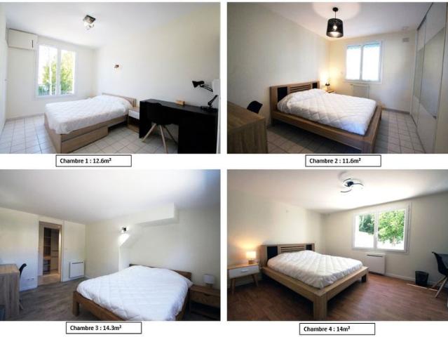 Appartement location à Niort