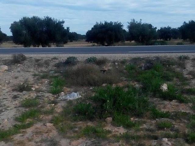 Terrain vente à Djerba - Houmet Essouk