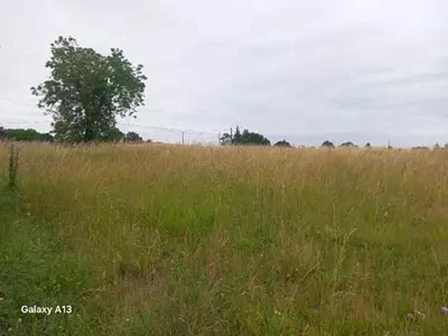 Terrain vente à Jonzac, Champagnac