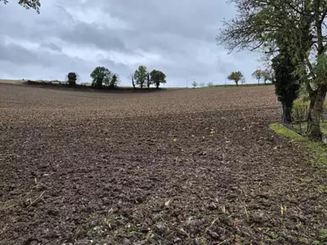Terrain vente à Cognac, Champagne-vigny