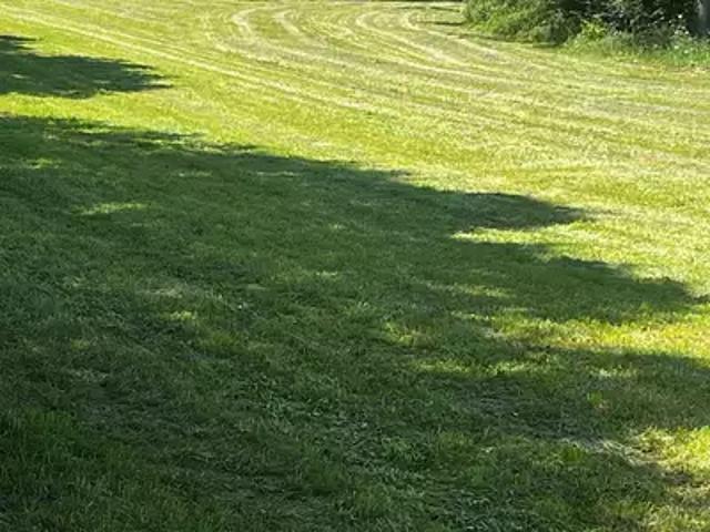 Terrain vente à France métropolitaine, Champagnolles