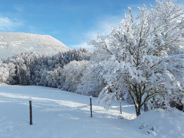 Maison vente à Nantua, Champfromier