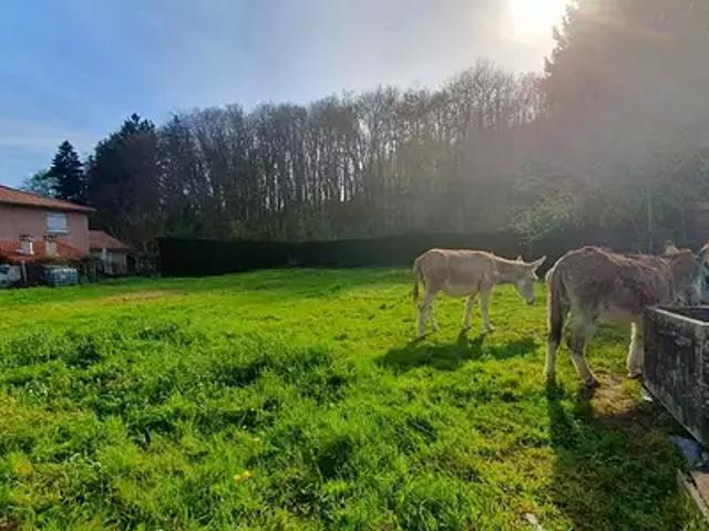 Terrain vente à Vienne, Champier