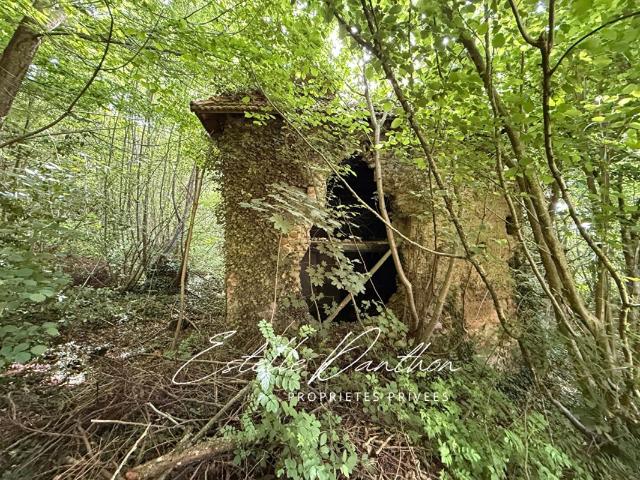 Terrain vente à Champier, Isère