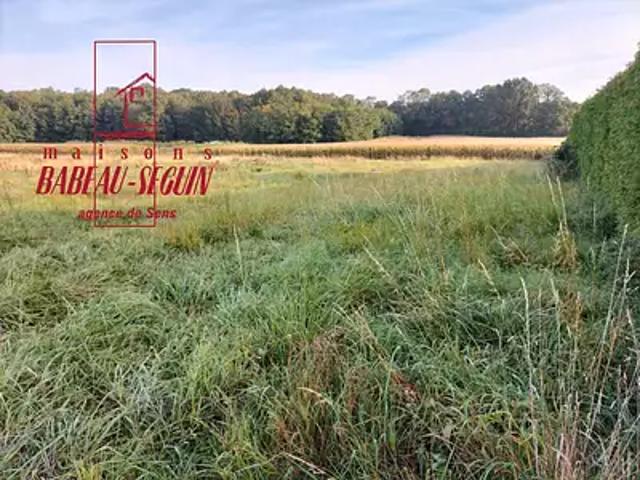 Terrain vente à Champigny, Les Tartilles