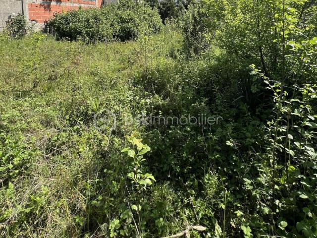 Terrain vente à Nogent-sur-Marne, Champigny-sur-marne