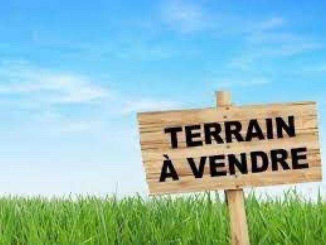 Terrain vente à Champigny