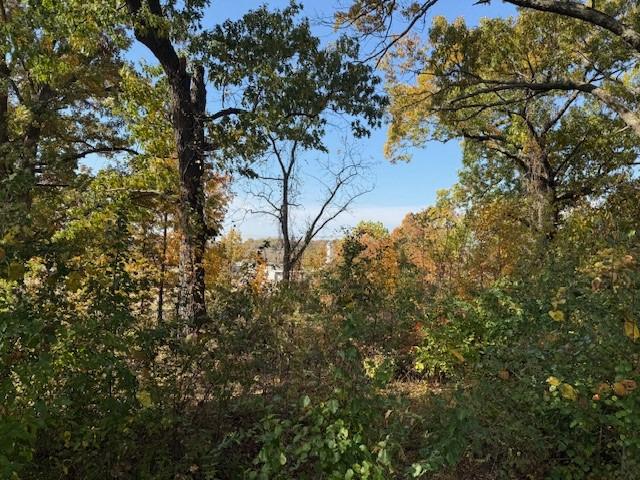 Land for sale in Ark