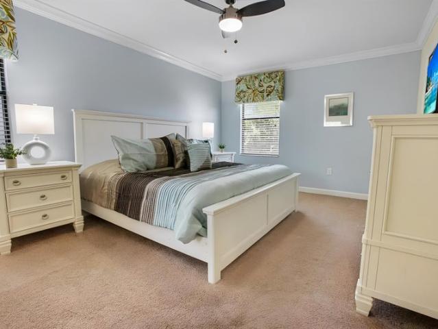 Room for rent in Tampa, Florida