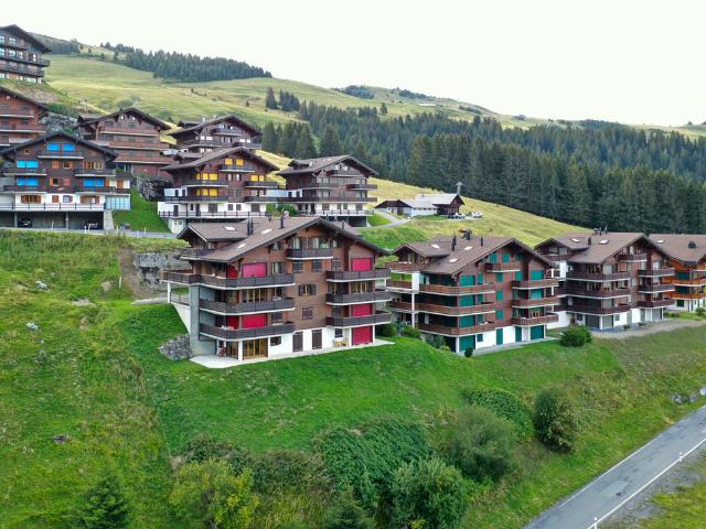 Wohnung kaufen in Val-d'Illiez, Wallis