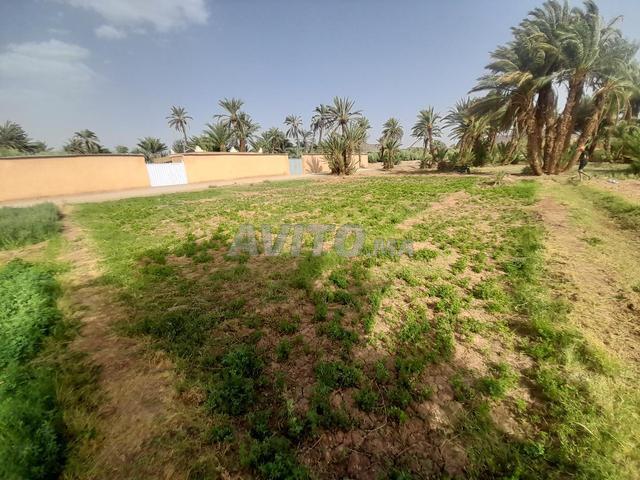 Propriété vente à Ouarzazate