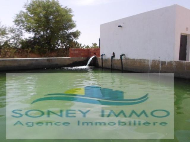 Terrain vente à Sidi Bouzid Ouest