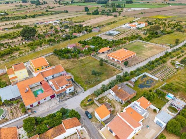 Terreno venda em Chamusca e Pinheiro Grande, Chamusca
