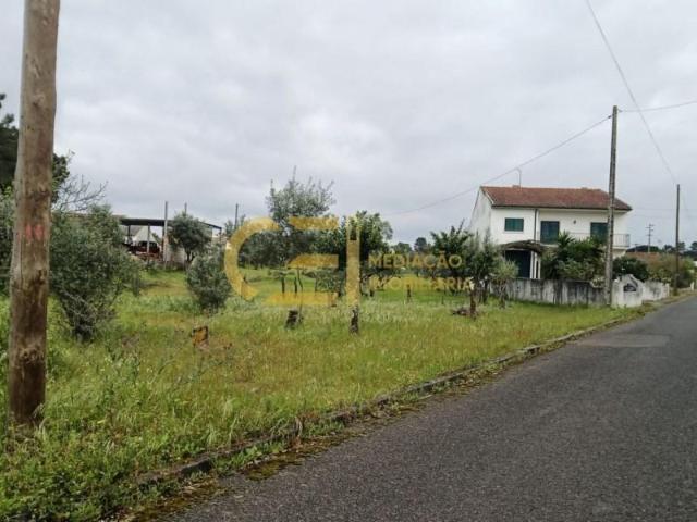 Terreno venda em Chamusca, Santarém