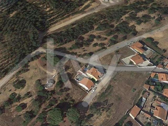 Terreno venda em Chamusca e Pinheiro Grande, Chamusca