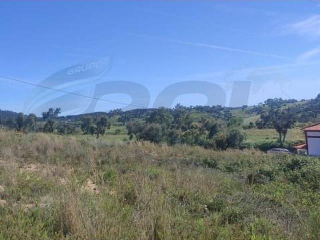 Terreno venda em Chamusca e Pinheiro Grande, Chamusca