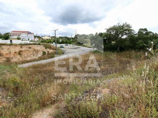 Terreno venda em Chamusca e Pinheiro Grande, Chamusca