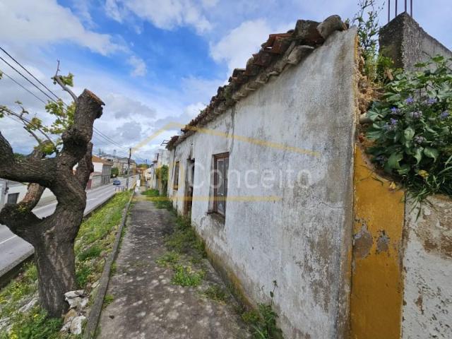 Terreno venda em Chamusca e Pinheiro Grande, Chamusca