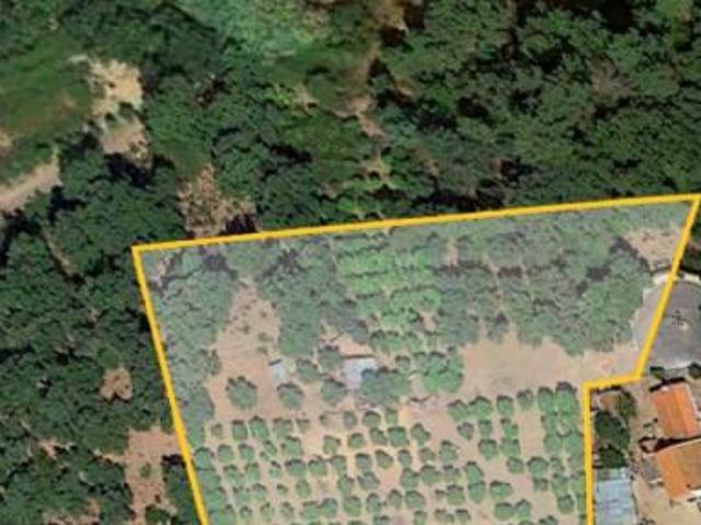 Terreno venda em Chamusca